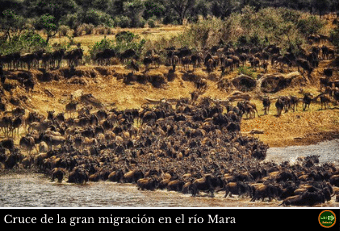 Cruce Mara
